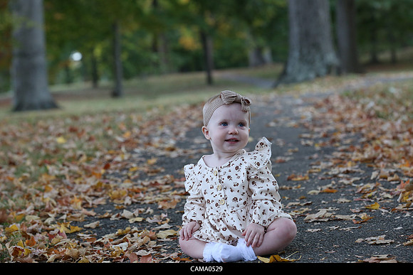 CAMA0529_lowres2