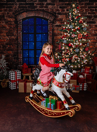 PP6A3737 copy